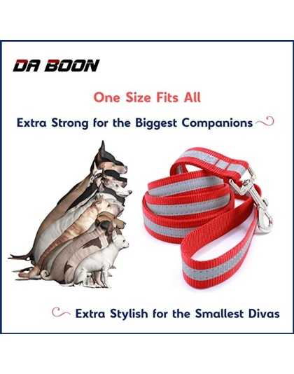 Blue - Da Boon Original Double-Sided Reflective Leash