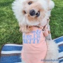 Lemonade - The Essential T-Shirt - Feed Me & Tell Me I'm Pretty - Small