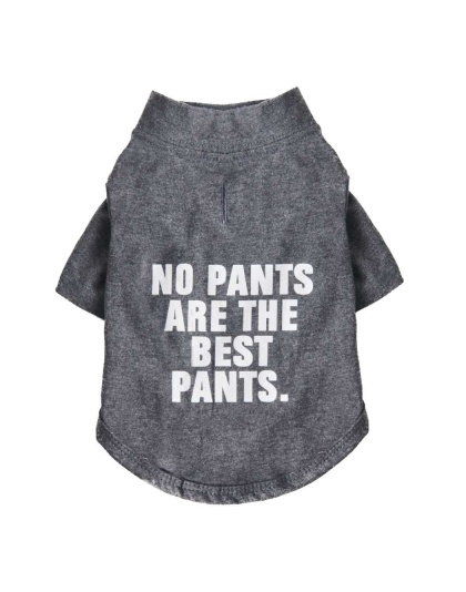 Cool Gray - The Essential T-Shirt - No Pants Are The Best Pants - Small