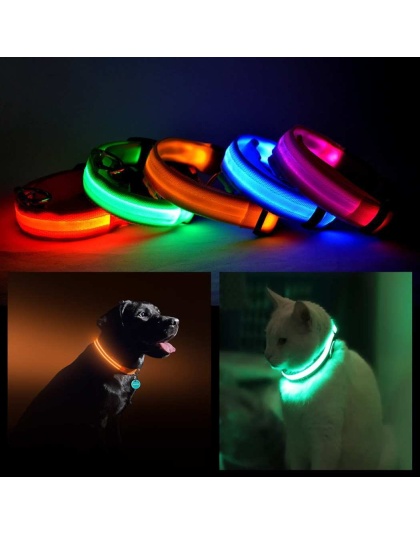 Orange - LED PET Safety Halo Style Collar - Medium