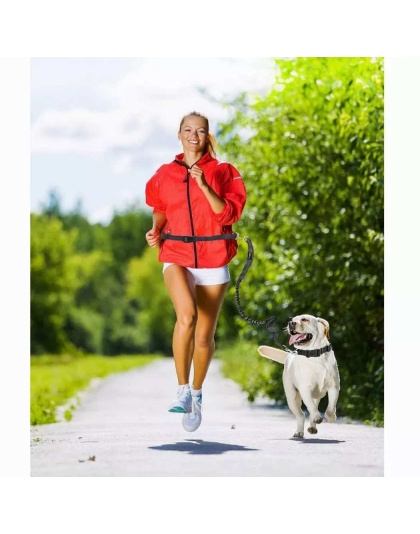 Grey - JESPET Hands Free Dog Leash for Running, Walking, Hiking Jogging for Medium & Large Dogs up to 150lbs, Durable Dual Handle Waist Leash with Reflective Bungee and Adjustable Waist - 1'' x 48''