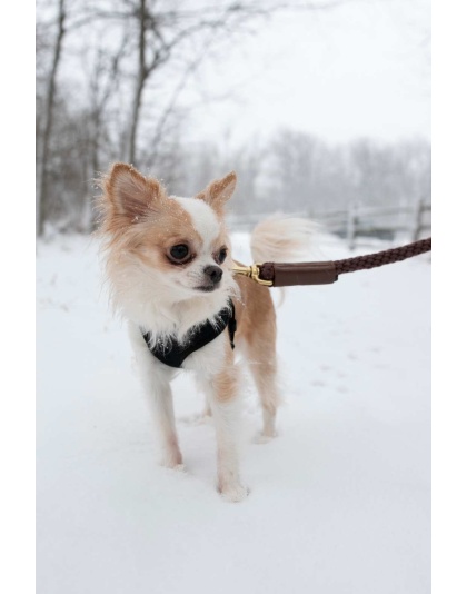 Tan w/ Champagne Leather Sleeve - Rope Leash