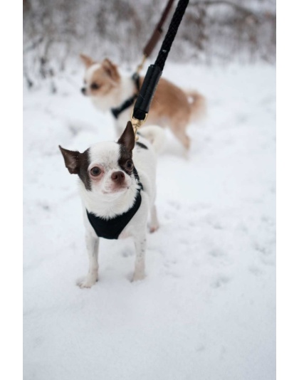 Brown w/ Brown Leather Sleeve - Rope Leash