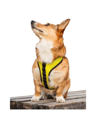 Buttercup Yellow - K9 Sport Harness - Large (17-19" Neck 17-24" Chest)