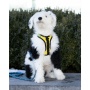 Buttercup Yellow - K9 Sport Harness - Medium (15-17" Neck 15-21" Chest)