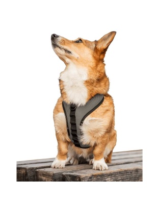 Shark Skin Gray - K9 Sport Harness - Small (13-15" Neck 13-18" Chest)
