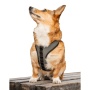 Shark Skin Gray - K9 Sport Harness - Small (13-15" Neck 13-18" Chest)