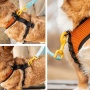 Sunset Orange - K9 Sport Harness - Small (13-15" Neck 13-18" Chest)