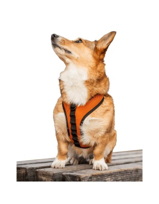 Sunset Orange - K9 Sport Harness - X-Small (11-13" Neck 11-15" Chest)