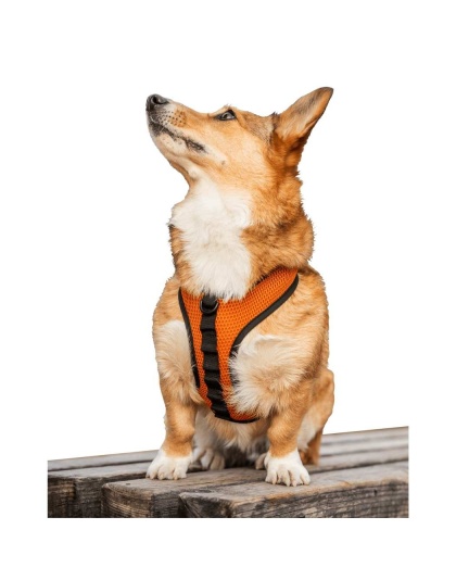 Sunset Orange - K9 Sport Harness - X-Small (11-13" Neck 11-15" Chest)