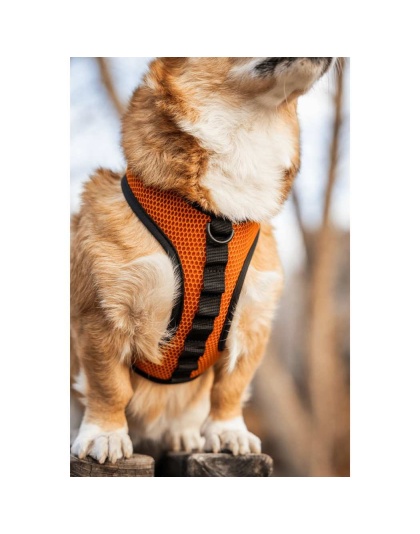 Sunset Orange - K9 Sport Harness - X-Small (11-13" Neck 11-15" Chest)