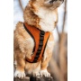 Sunset Orange - K9 Sport Harness - X-Small (11-13" Neck 11-15" Chest)