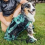 Summer Mint - K9 Sport Sack Air 2 - X-Small (10"-13" from collar to tail)