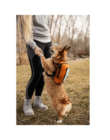 Sunset Orange - Walk-On with Harness & Storage - Small (13-15" Neck 13-18" Chest)
