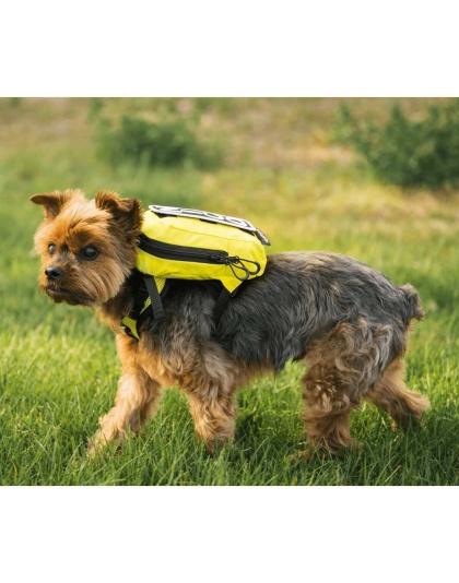 Buttercup Yellow - Walk-On with Harness & Storage - Small (13-15" Neck 13-18" Chest)