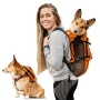 Sunset Orange - Walk-On with Harness & Storage - X-Small (11-13" Neck 11-15" Chest)