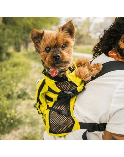 Buttercup Yellow - Walk-On with Harness & Storage - X-Small (11-13" Neck 11-15" Chest)