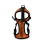 Sunset Orange - Walk-On with Harness & Storage - X-Small (11-13" Neck 11-15" Chest)