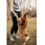 Sunset Orange - Walk-On with Harness & Storage - X-Small (11-13" Neck 11-15" Chest)