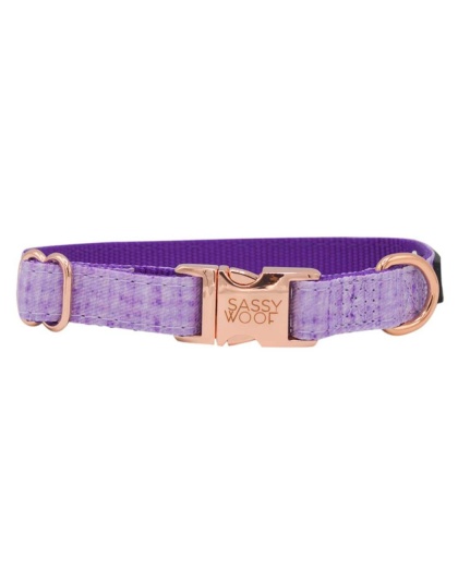 Purple - Collar  - Medium