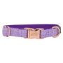 Purple - Collar  - Medium