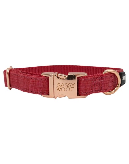 Red - Collar  - Large