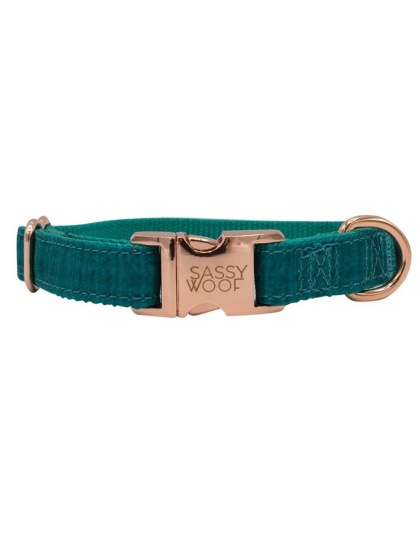 Green - Collar  - Medium