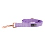 Purple - Leash - One Size