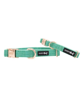 Teal - Collar  - Medium