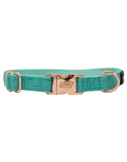 Teal - Collar  - Medium