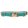 Teal - Collar  - Medium