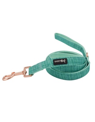 Teal - Leash - One Size