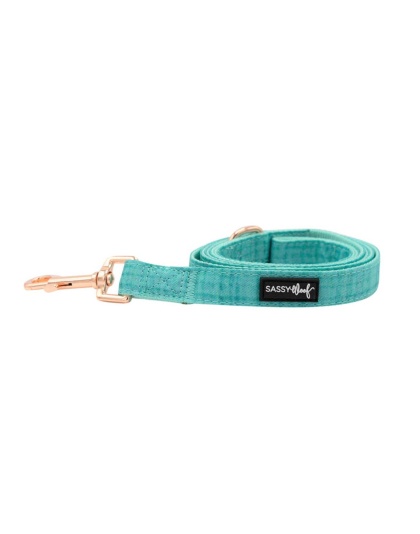 Teal - Leash - One Size