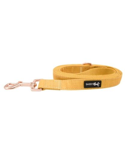 Yellow - Leash - One Size