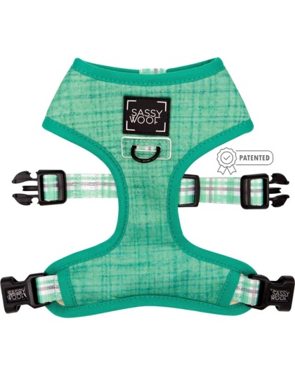 Teal - Reversible Harness  - Small