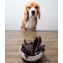 Pork Liver Chips - 3.5 oz