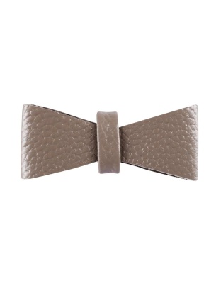 Desert Mint - Dog Bow Tie  - Large