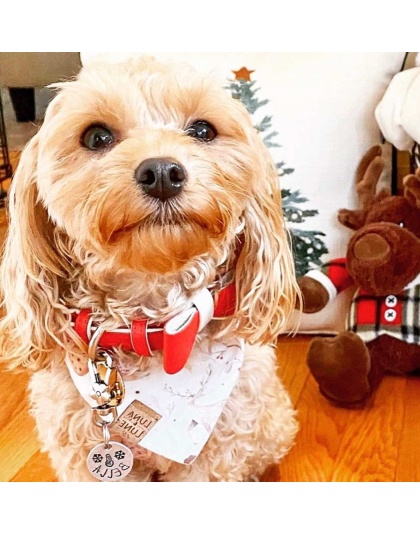 Melting Hearts - Dog Bow Tie  - Large