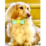 Sunshine Babe - Dog Bow Tie  - Large