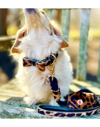 Wildest One - Dog Bow Tie  - Small