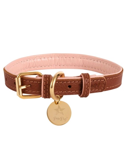 Bella Rose - Dog Collar  - XL