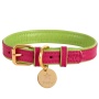 Candy Swirl - Dog Collar  - Medium