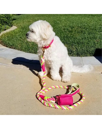 Candy Swirl - Dog Collar  - XL