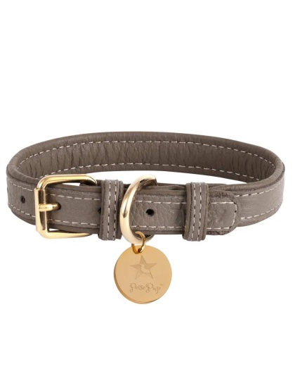 Desert Mint - Dog Collar  - XL