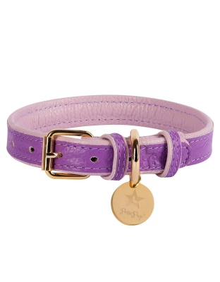 Lavish Lavender - Dog Collar  - Small