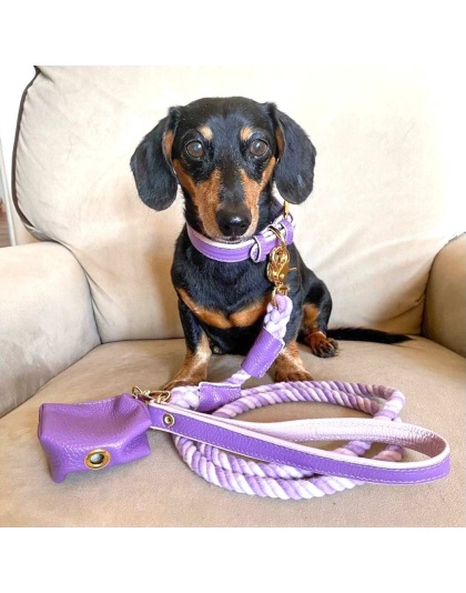 Lavish Lavender - Dog Collar  - Small