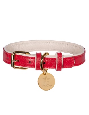 Melting Hearts - Dog Collar  - XL