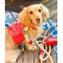 Melting Hearts - Dog Harness  - Medium