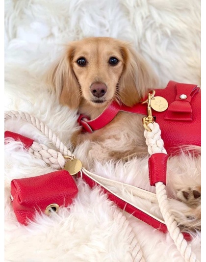 Melting Hearts - Dog Harness  - Medium