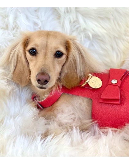 Melting Hearts - Dog Harness  - Medium